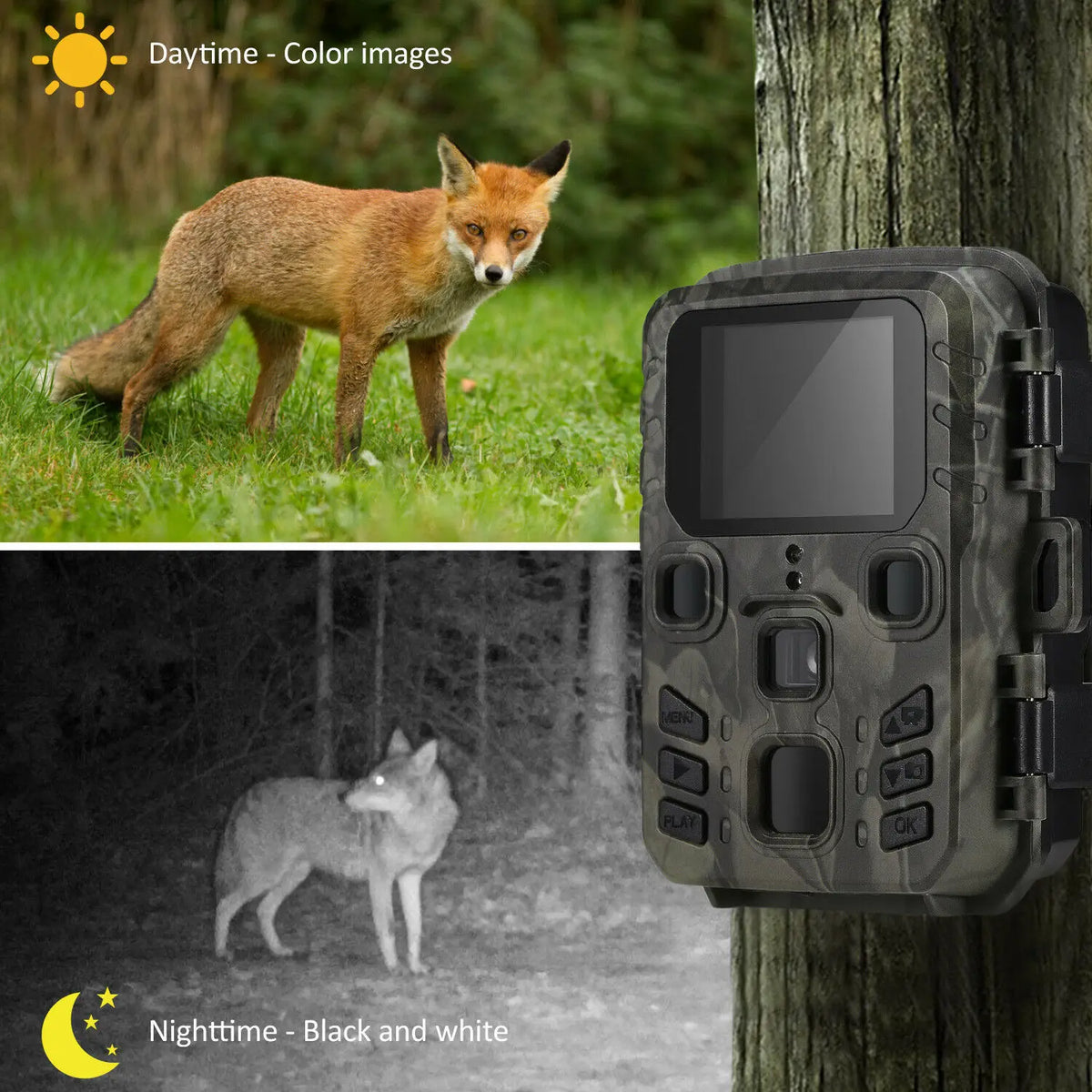 Câmara de trilha  Mini301 — 20MP / 1080P Full HD - observação de Animais -  Vigilância - Visão Noturna -  Armadilha Fotográfica